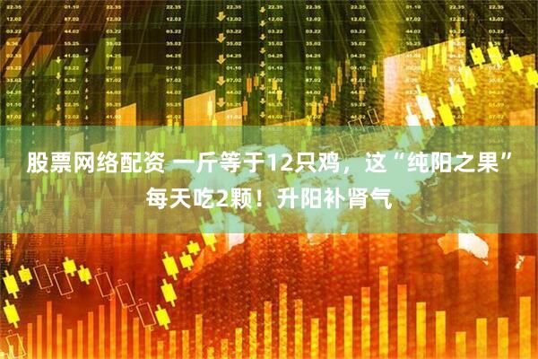 股票网络配资 一斤等于12只鸡，这“纯阳之果”每天吃2颗！升阳补肾气