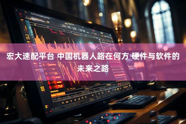宏大速配平台 中国机器人路在何方 硬件与软件的未来之路