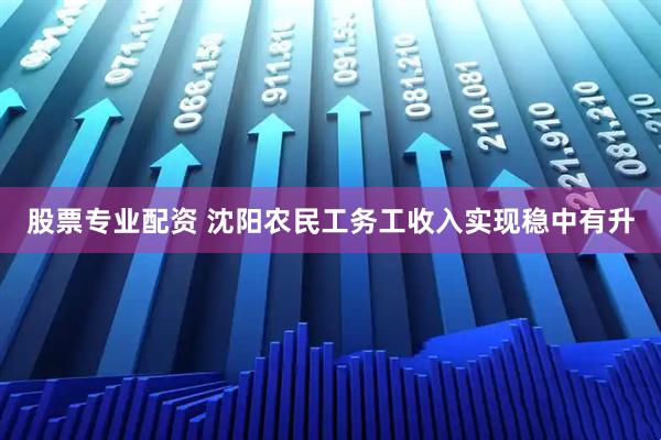 股票专业配资 沈阳农民工务工收入实现稳中有升